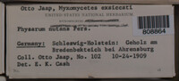 Image Associated With the Occurence
